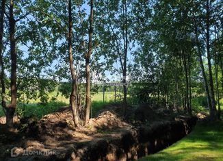 Продажа земельного участка, 20 сот., поселок Цвелодубово, Центральная улица