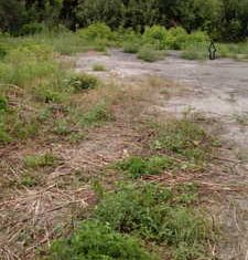 Продаю земельный участок, 6.5 сот., Льгов, улица Карла Маркса