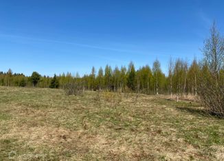 Продажа участка, 250 сот., Куйвозовское сельское поселение