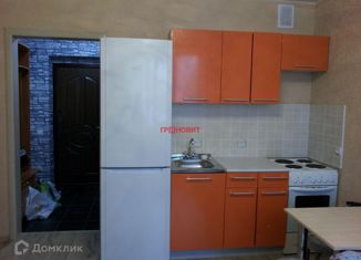 Продаю квартиру студию, 24 м2, Новосибирск, Березовая улица, 19, Березовая улица