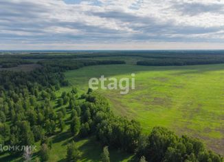 Продаю земельный участок, 15 сот., село Каменка, Школьная улица