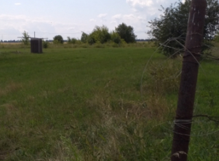 Продажа участка, 10 сот., село Лебяжье