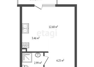Продаю квартиру студию, 24.2 м2, деревня Малое Верево, улица Кутышева, 9к1