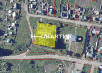 Продается земельный участок, 36.38 сот., Новосибирская область, Центральная улица, 2А