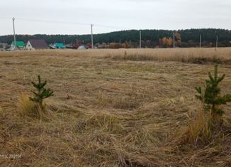 Продажа участка, 10 сот., село Амзя, Зелёная улица, 24