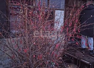 Продается дом, 25 м2, Новосибирская область, 1-я улица