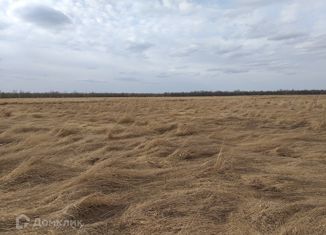 Земельный участок на продажу, 12 сот., деревня Горынево, 49Н-1136