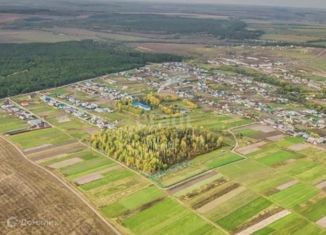 Земельный участок на продажу, 6 сот., село Конь