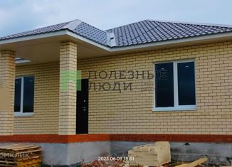 Продаю дом, 100 м2, село Пестрецы, улица Мишанина, 5