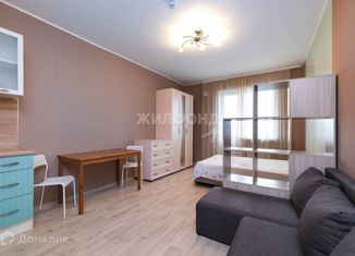 Продажа однокомнатной квартиры, 30 м2, Новосибирск, Оловозаводская улица, 15
