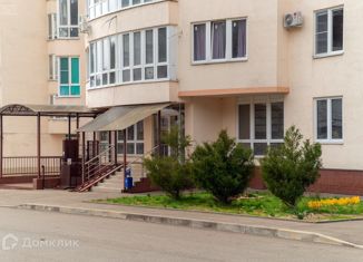 Продажа однокомнатной квартиры, 27 м2, село Краевско-Армянское, Измайловская улица, 20Ак2