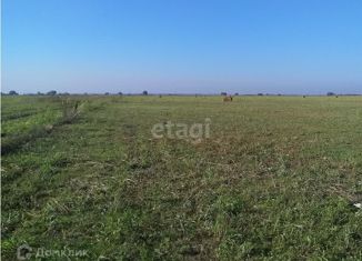 Продается участок, 6 сот., село Каменское, Набережная улица