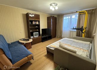 Продается однокомнатная квартира, 32.5 м2, Санкт-Петербург, Дунайский проспект, 48к1, муниципальный округ Георгиевский