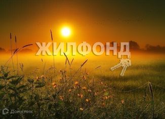 Продается земельный участок, 1026 сот., поселок городского типа Зуя, Шоссейная улица, 41