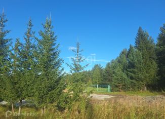 Участок на продажу, 15.4 сот., село Шиловка, Колхозная улица