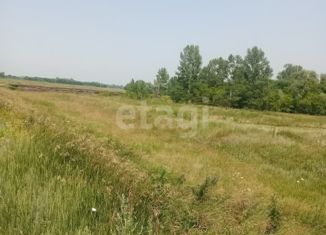 Продажа участка, 17 сот., село Варварино