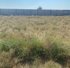 Продам участок, 7.2 сот., село Уютное, Садовая улица