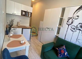 Продается квартира студия, 17 м2, Санкт-Петербург, улица Глинки, 3-5-7, метро Садовая