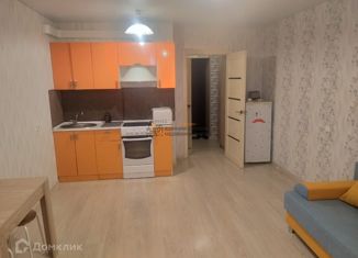 Сдается в аренду однокомнатная квартира, 30 м2, Новосибирская область, Сливовая улица, 7