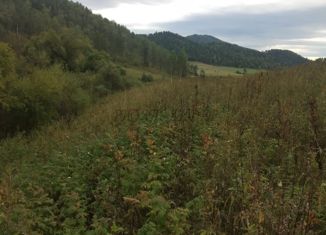 Продается участок, 238 сот., село Бешпельтир