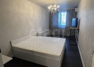 1-комнатная квартира в аренду, 43 м2, Ростов-на-Дону, Береговая улица, 73с2