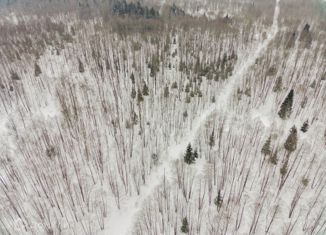 Земельный участок на продажу, 6 сот., деревня Шапкино