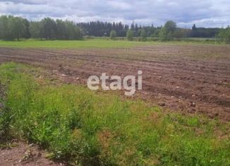 Продажа земельного участка, 30 сот., деревня Курковицы, деревня Курковицы, 32