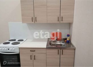 Сдача в аренду квартиры студии, 25 м2, село Каменка, микрорайон Олимпийской славы, 2