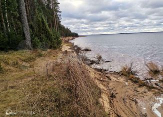 Продаю земельный участок, 10 сот., деревня Харламовская, деревня Харламовская, 76