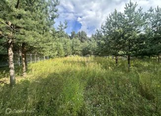 Продаю земельный участок, 8.33 сот., деревня Минино, деревня Минино, 206