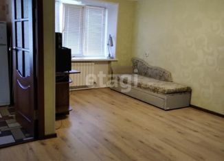 Однокомнатная квартира на продажу, 30.1 м2, село Юргинское, Восточная улица, 1