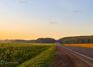 Продается земельный участок, 316 сот., Ачитский городской округ