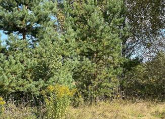 Участок на продажу, 13.8 сот., деревня Максимовское