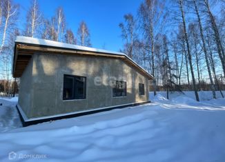 Продам дом, 100 м2, деревня Турово, деревня Турово, 23