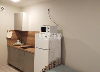 Продам квартиру студию, 25 м2, Ломоносов, Михайловская улица, 51