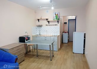 Продается квартира студия, 23 м2, Ижевск, Нижняя улица, 2, ЖК Металлург