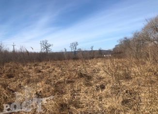 Продажа земельного участка, 12 сот., село Ясное, Васильковая улица