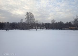 Продается земельный участок, 28 сот., деревня Заречный, Центральная улица