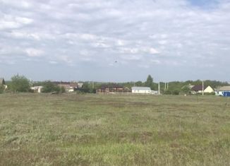 Продаю земельный участок, 29 сот., село Петино