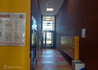 Продаю квартиру студию, 24.5 м2, Санкт-Петербург, улица Генерала Кравченко, 8, Красносельский район