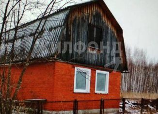 Продажа дома, 55 м2, Новосибирская область