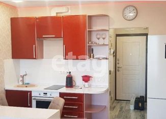 Сдается в аренду квартира студия, 26 м2, Новосибирск, Железнодорожная улица, 15/1, метро Гагаринская