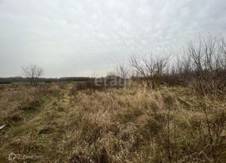 Продается участок, 13 сот., посёлок ВНИИСС, Кленовая улица