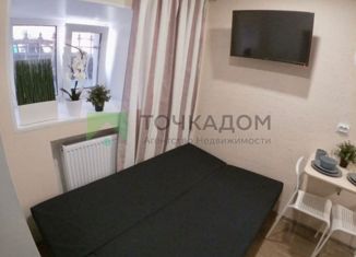 Сдам квартиру студию, 10 м2, Санкт-Петербург, Рузовская улица, 33, муниципальный округ Семеновский