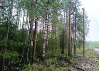 Продам участок, 17.6 сот., деревня Пожня, Лесная улица