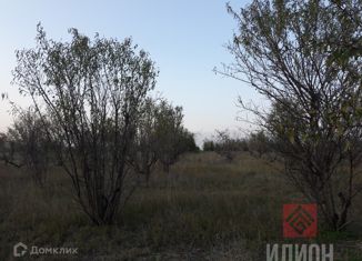 Продажа участка, 334 сот., село Предущельное