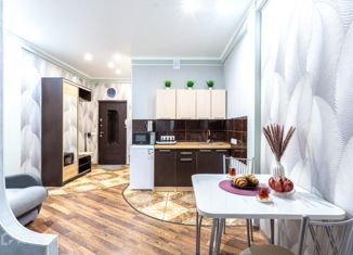 Продажа однокомнатной квартиры, 30 м2, Сочи, улица Лысая Гора, 26А, микрорайон Светлана