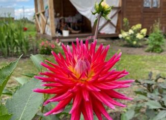 Продаю дом, 16 м2, СНТ Курчатовец, 34-й квартал, 30