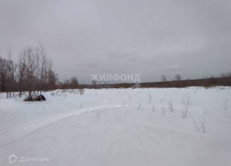 Участок на продажу, 12 сот., ДНТ Обская слобода