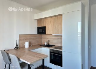 Сдам в аренду квартиру студию, 25 м2, Санкт-Петербург, Верхне-Каменская улица, 3к1, ЖК Чистое Небо